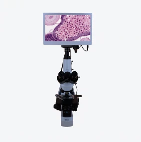 Тринокулярный цифровой биологический микроскоп с ЖК-дисплеем BLM1-240 фото