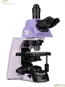 Микроскоп биологический MAGUS Bio 290T фото
