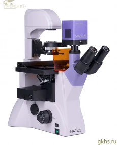 Микроскоп люминесцентный инвертированный цифровой MAGUS Lum VD500L фото