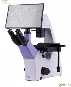 Микроскоп биологический инвертированный цифровой MAGUS Bio VD300 LCD фото
