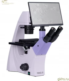 Микроскоп биологический инвертированный цифровой MAGUS Bio VD300 LCD фото