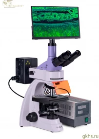 Микроскоп люминесцентный цифровой MAGUS Lum D400 LCD фото