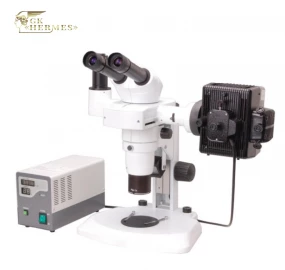 Флуоресцентный стереомикроскоп BS-3060F фото