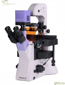 Микроскоп люминесцентный инвертированный цифровой MAGUS Lum VD500L фото