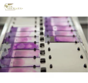 Предметные стекла микроскопа для мазка крови (автоматический) RM7310A (гематологическое исследование) фото